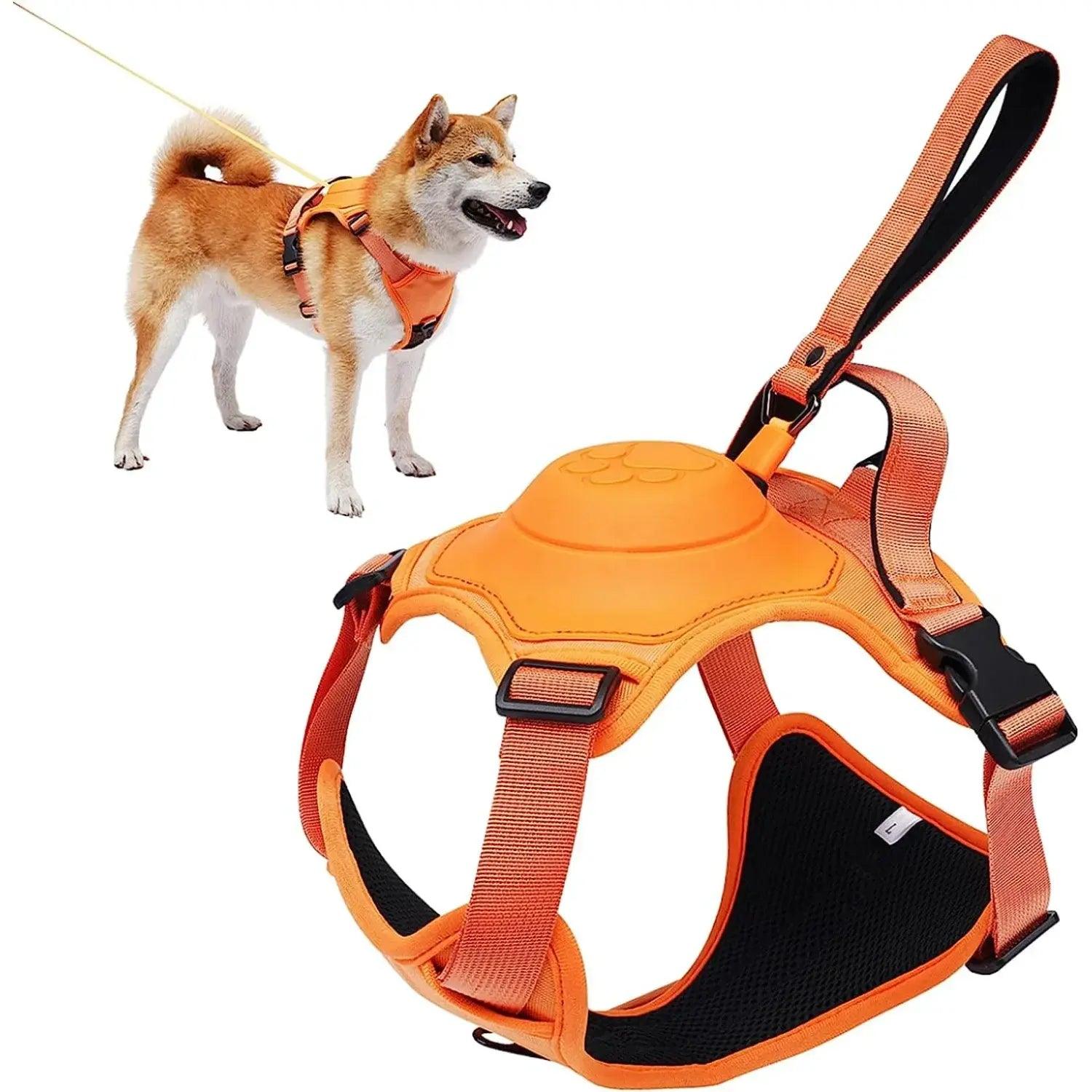 All-in-One Dog Harness & Retractable Leash - ACO Marketplace