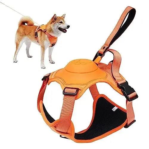 All-in-One Dog Harness & Retractable Leash - ACO Marketplace