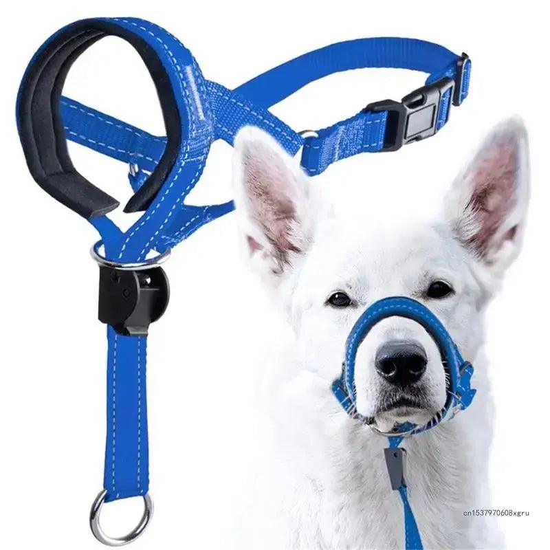 Dog Halter Training Head Collar - ACO Marketplace
