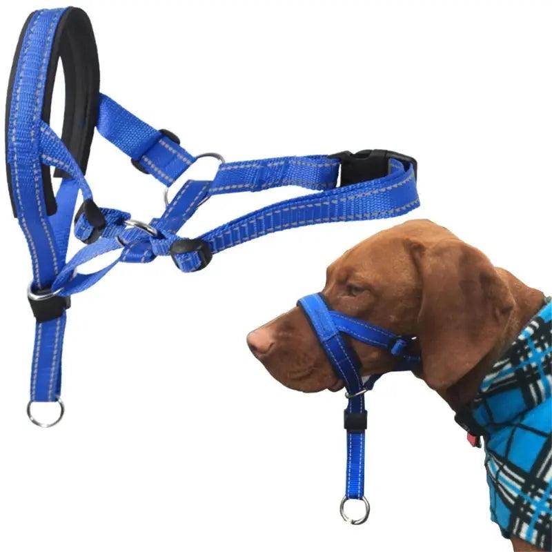 Dog Halter Training Head Collar - ACO Marketplace