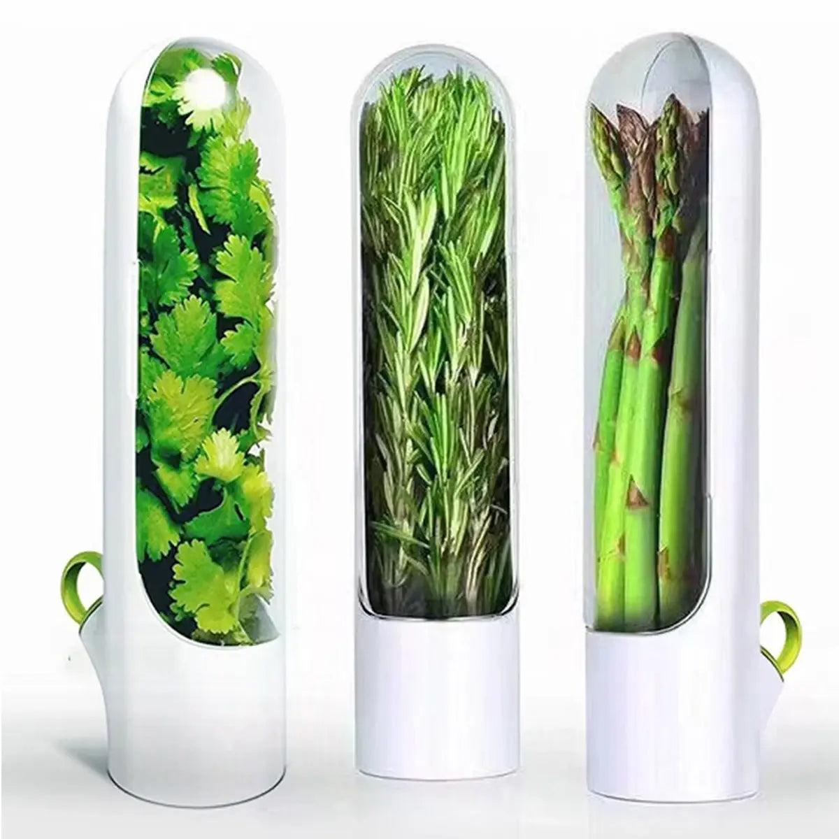 Herb Saver: Freshness Container For Kitchen - ACO Marketplace