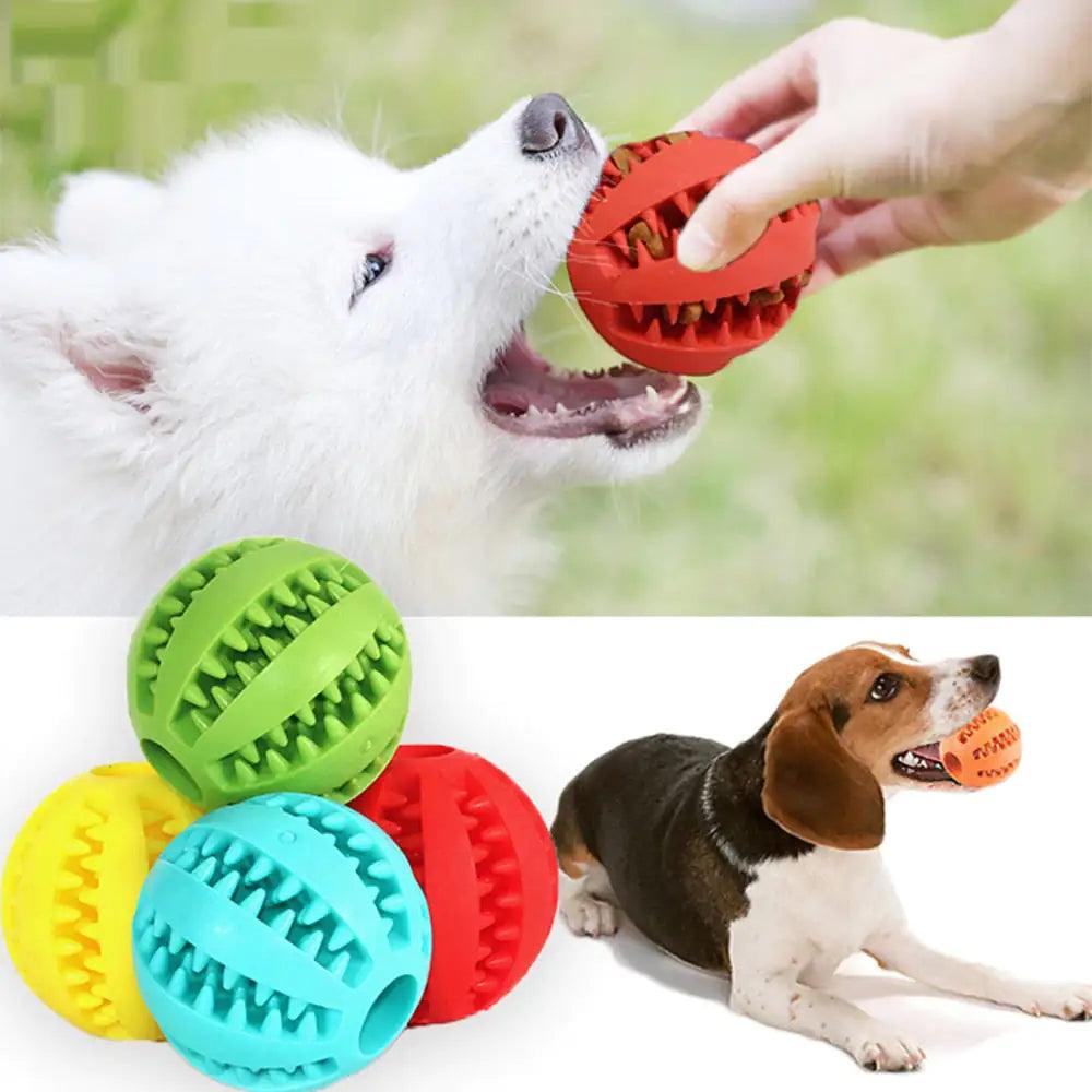 Interactive Pets Rubber Balls - ACO Marketplace