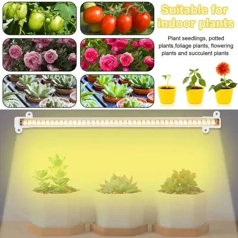 Led Grow Light For Plants - ACO Marketplace