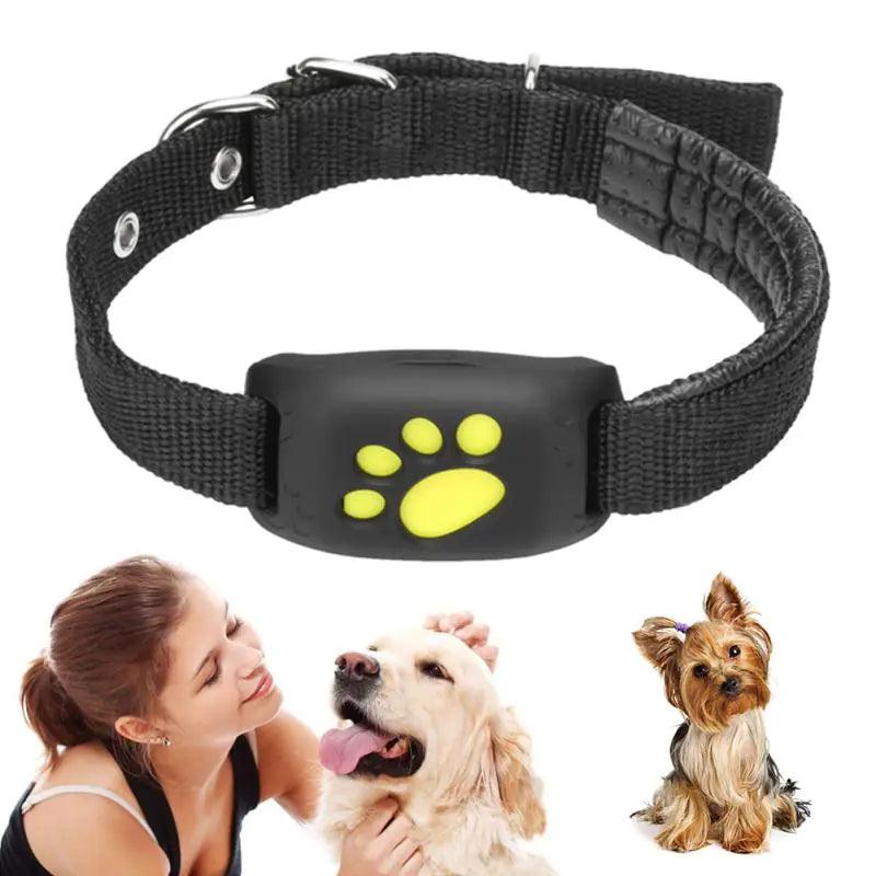 Pet GPS Tracker Collar - ACO Marketplace