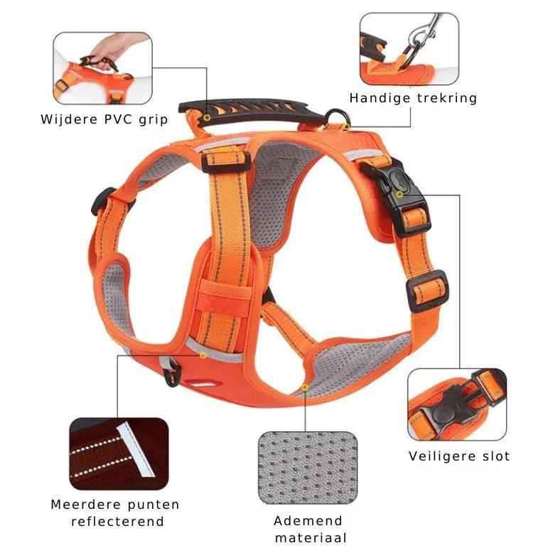 Reflective Stress- Relieving Harness - ACO Marketplace