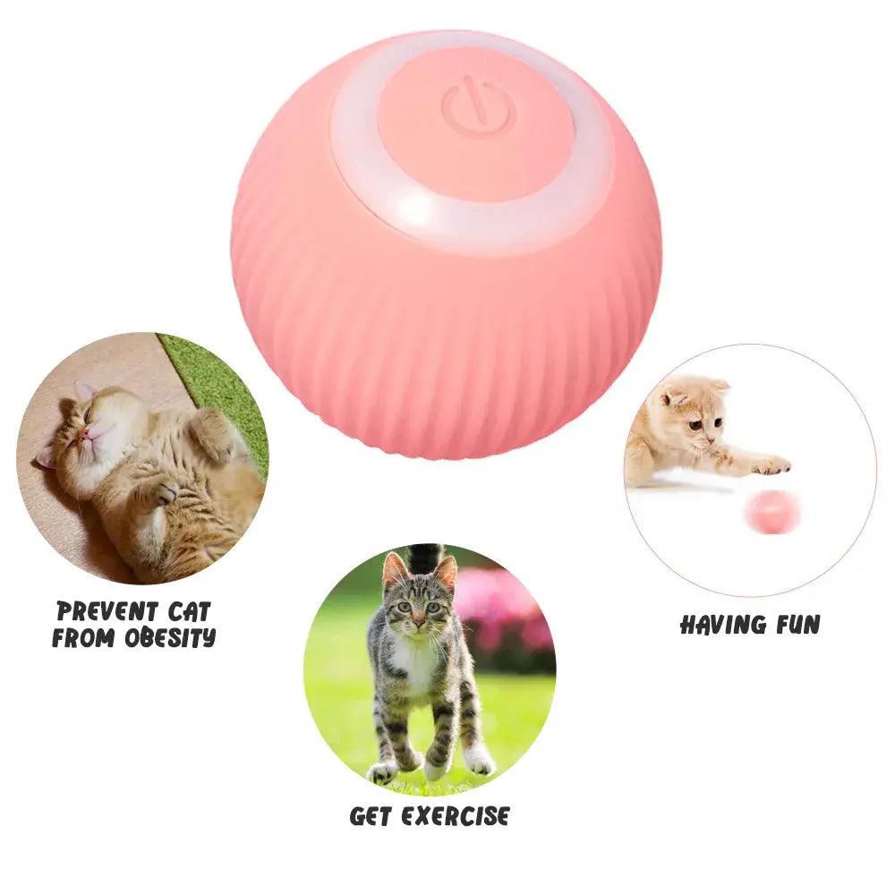 Rolling Ball Electric Cat Toys - ACO Marketplace