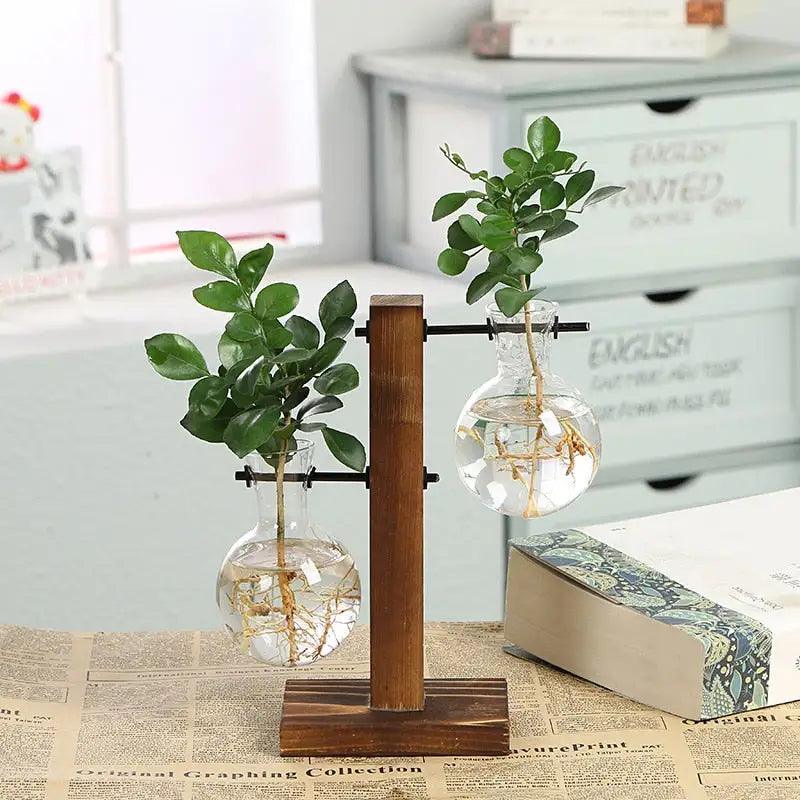 Transparent Plant Vases - ACO Marketplace