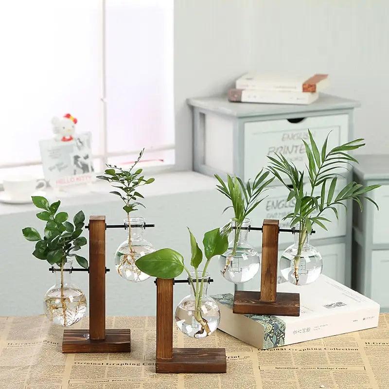 Transparent Plant Vases - ACO Marketplace